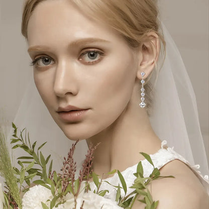 4 Carat Moissanite 925 Sterling Silver Earrings Silver / One Size The Nichole Collection