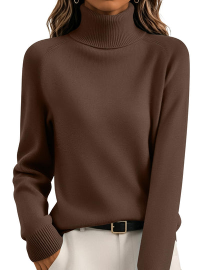 Sophisticated Relaxed Turtleneck Sweater The Nichole Collection