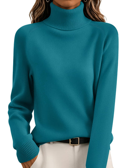 Sophisticated Relaxed Turtleneck Sweater The Nichole Collection