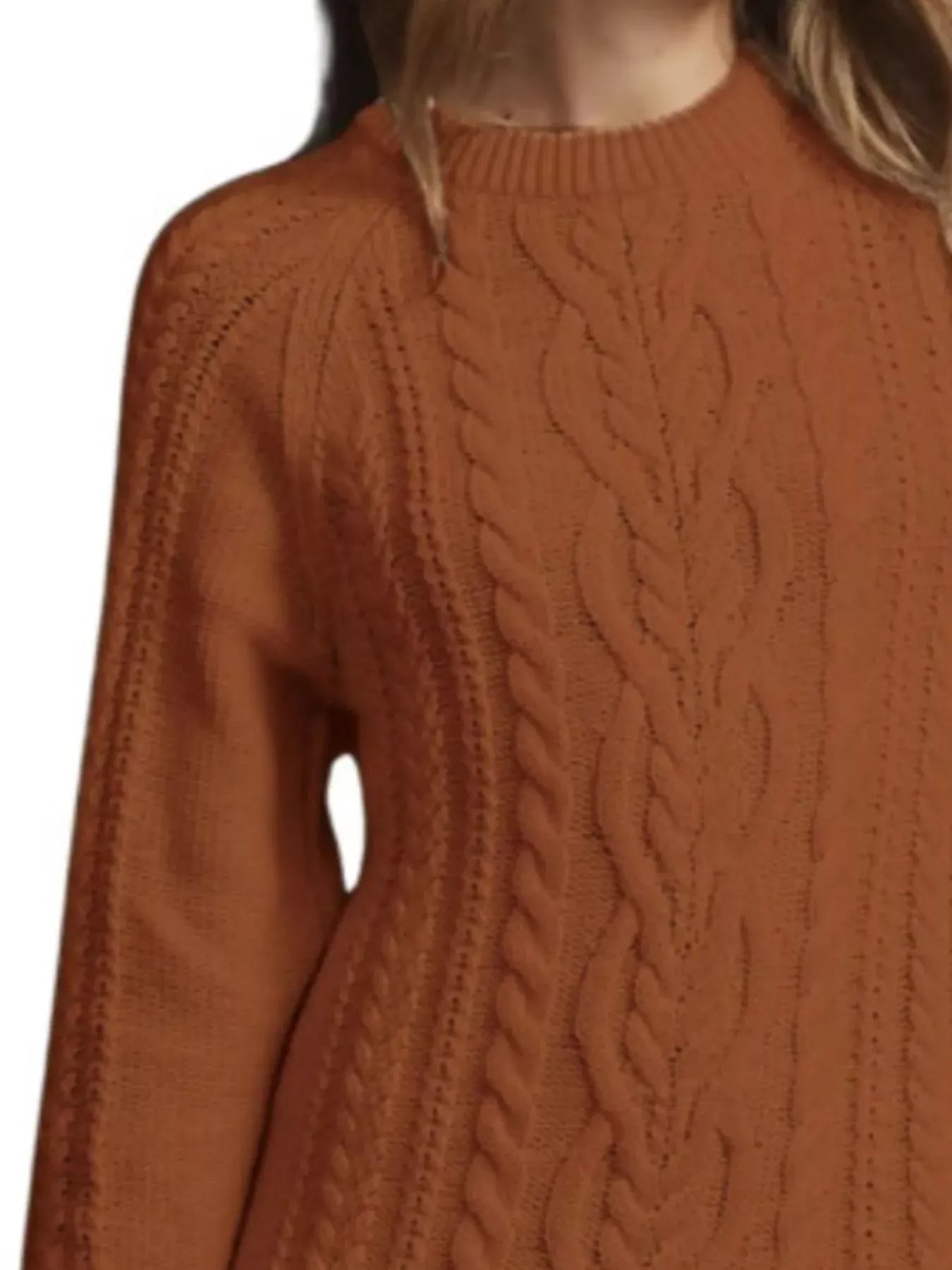 Full Size Cable-Knit Mini Sweater Dress Plus Size Brown / S The Nichole Collection