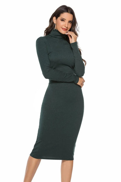 Ribbed Turtleneck Long Sleeve Dress Dresses The Nichole Collection