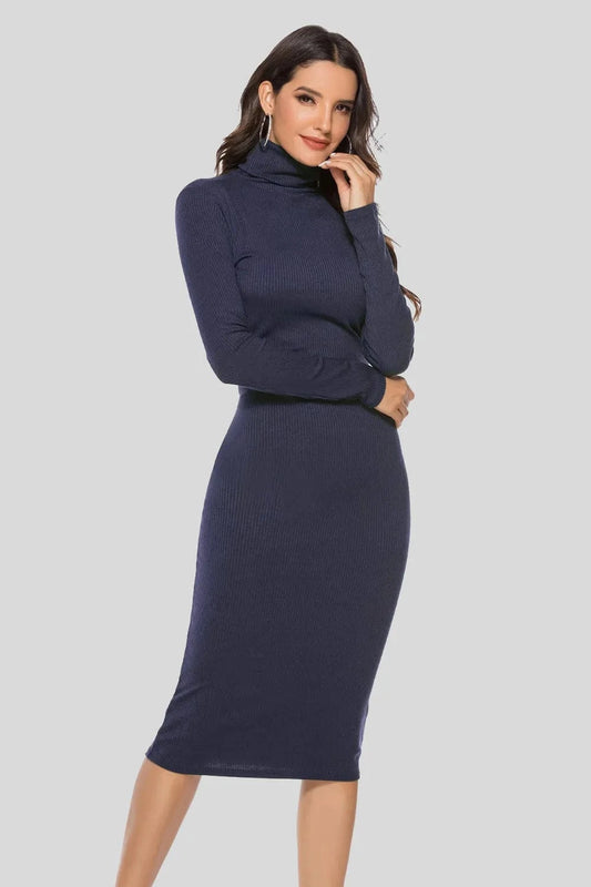 Ribbed Turtleneck Long Sleeve Dress Dresses Dark Blue / S The Nichole Collection