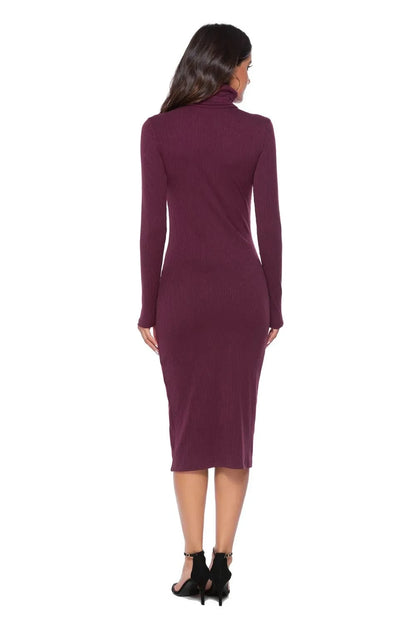 Ribbed Turtleneck Long Sleeve Dress Dresses The Nichole Collection