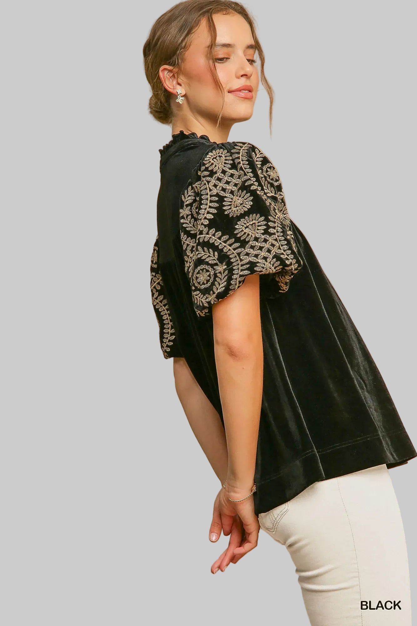 Velvet Blouse with Elegant Embroidered Sleeves Shirts & Tops The Nichole Collection