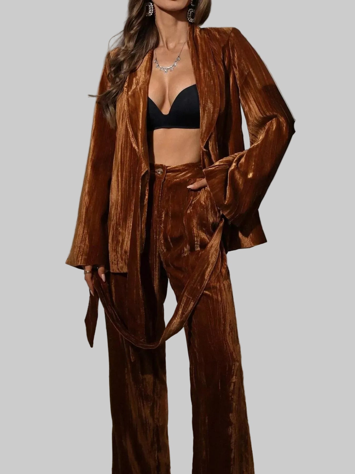 Velvet Tie Waist Blazer and Pants Set Two Piece Pants Sets The Nichole Collection