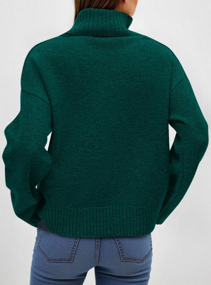 Women’s Chunky Knit Turtleneck Sweater Sweaters The Nichole Collection