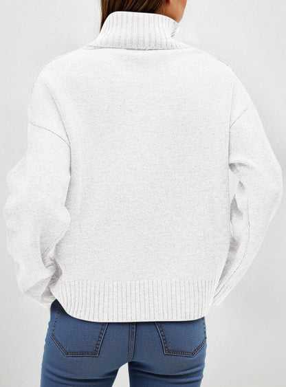 Women’s Chunky Knit Turtleneck Sweater Sweaters The Nichole Collection