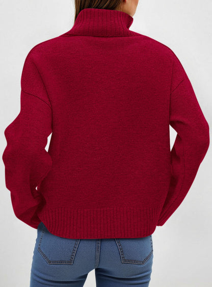 Women’s Chunky Knit Turtleneck Sweater Sweaters The Nichole Collection